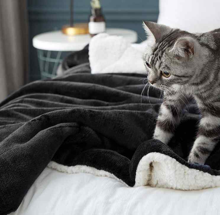Black Fluffy Sherpa Blanket